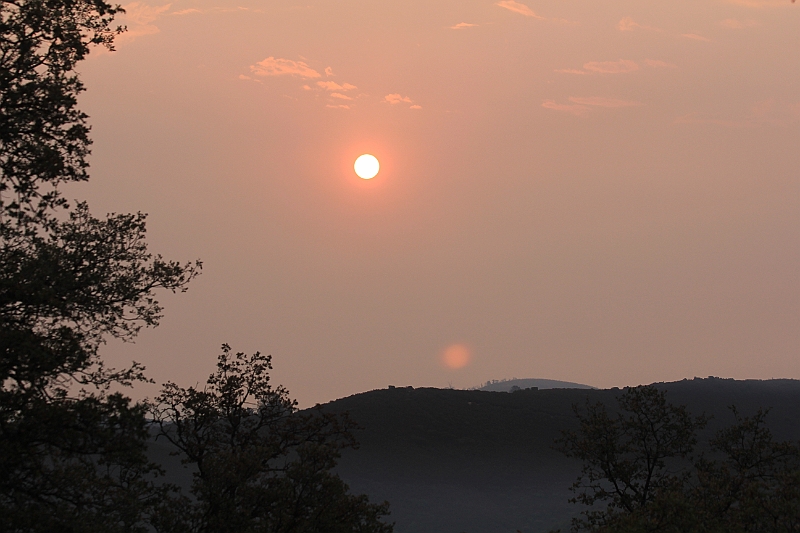 IMG_9646.JPG