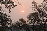 IMG_9645