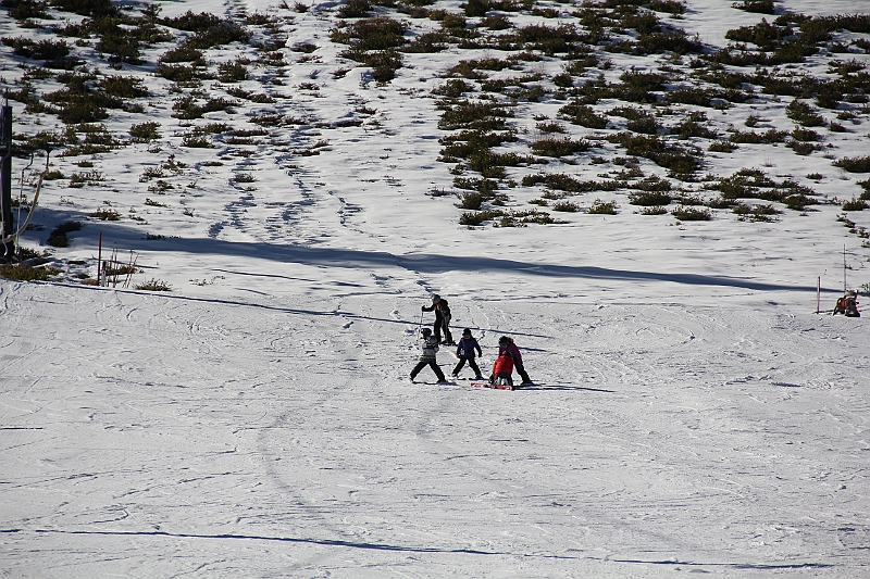 IMG_2962.JPG