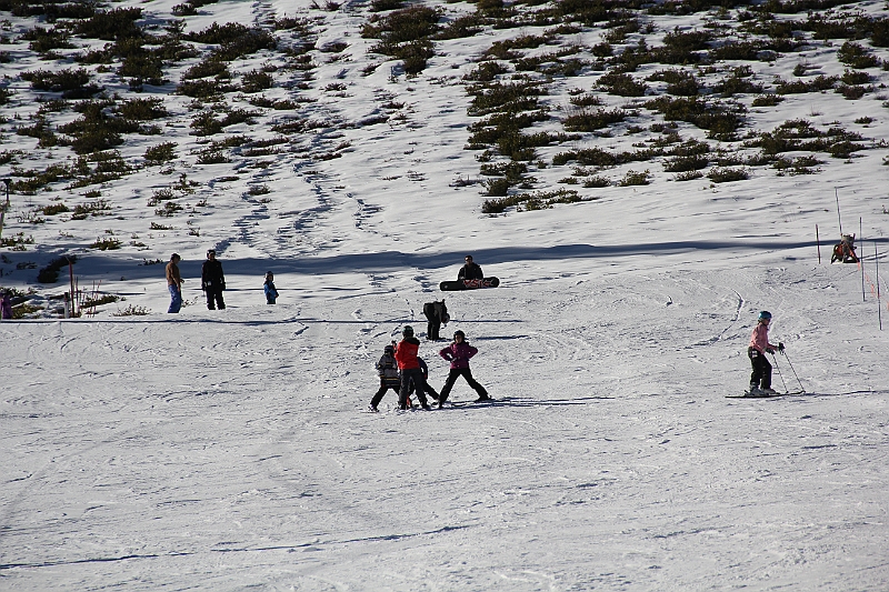 IMG_2966.JPG