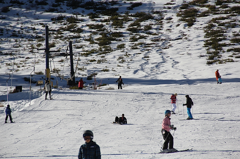 IMG_2991.JPG