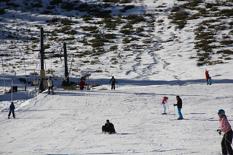 IMG_2993.JPG
