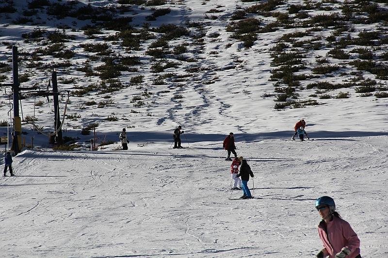 IMG_2994.JPG