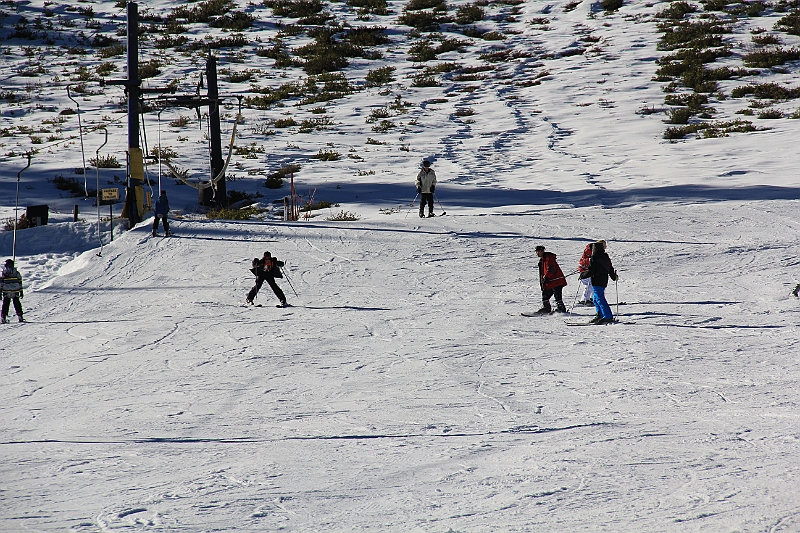 IMG_2995.JPG