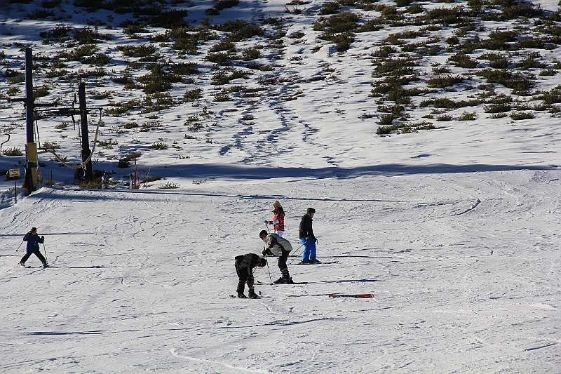 IMG_2999.JPG