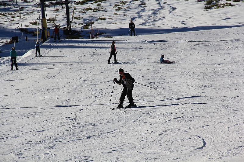 IMG_3008.JPG
