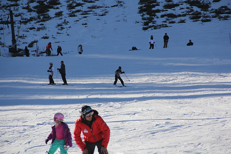IMG_3026.JPG
