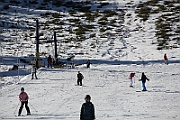 IMG_2990