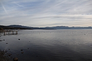 IMG_3128