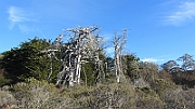131214-104916