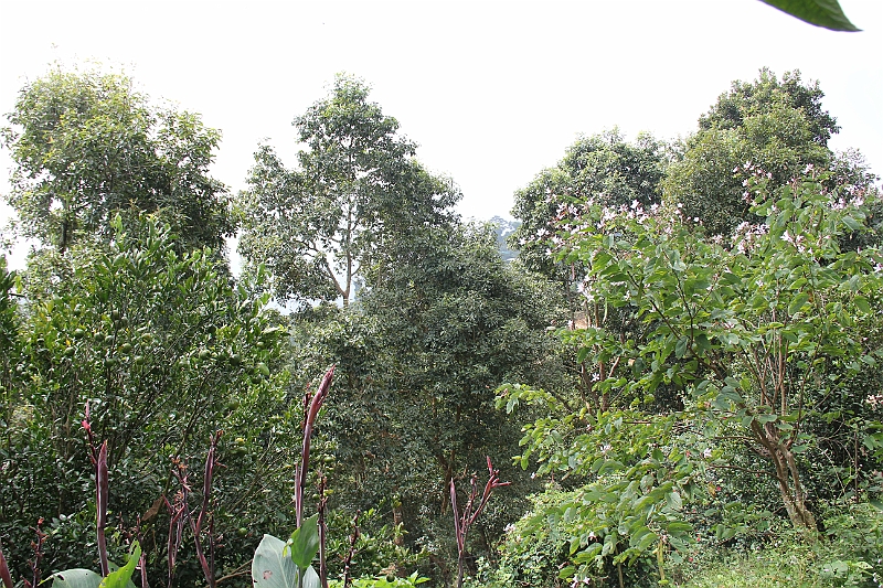 131023-112333.JPG