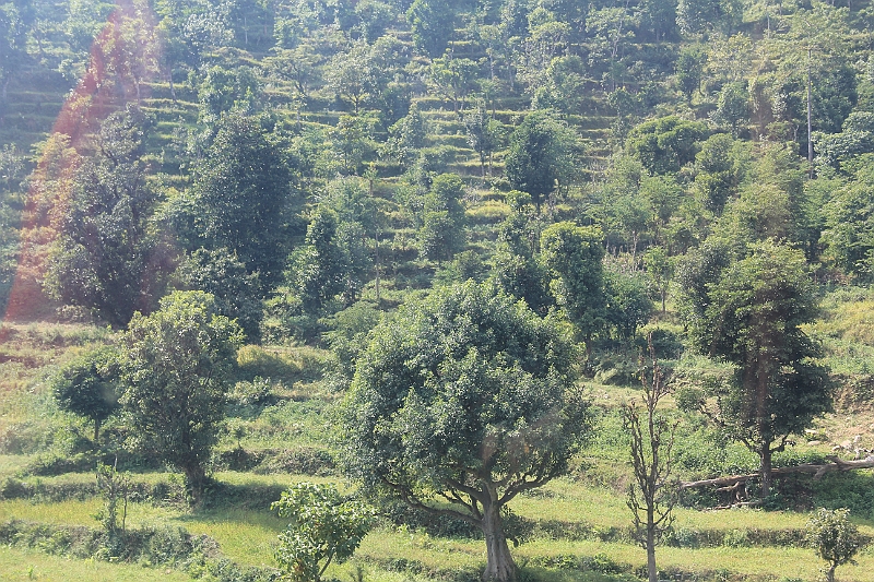 131023-120246.JPG