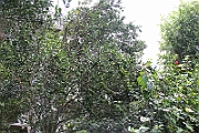 131023-112341