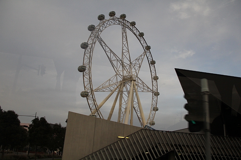 IMG_5138.JPG