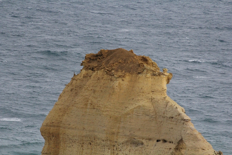 IMG_5269.JPG