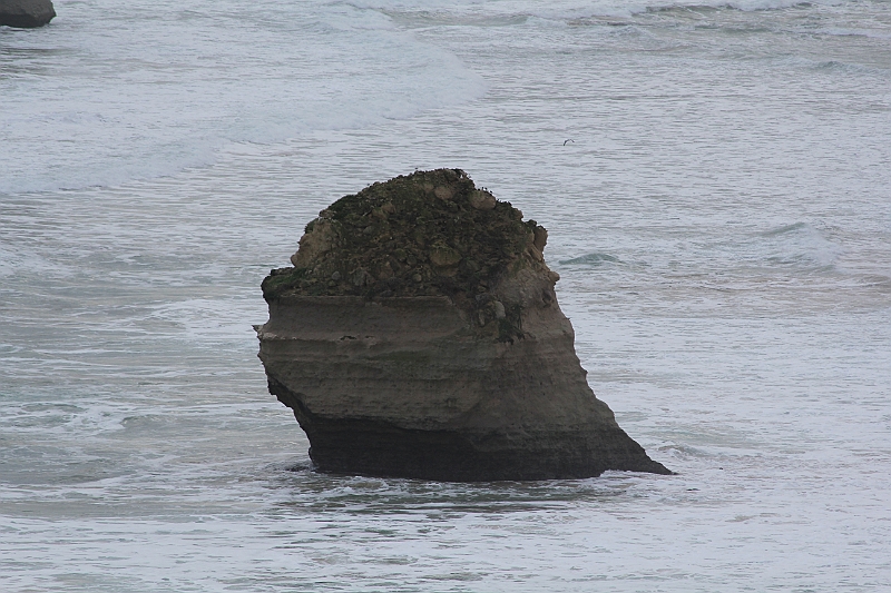 IMG_5341.JPG