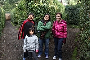 IMG_5524