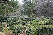 IMG_5534