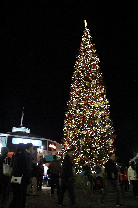 141227-134703.JPG