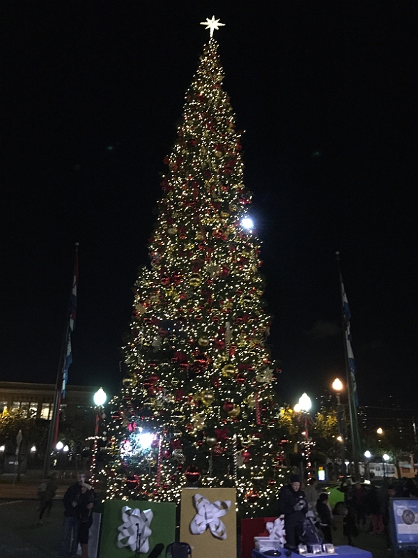 IMG_7510.jpg