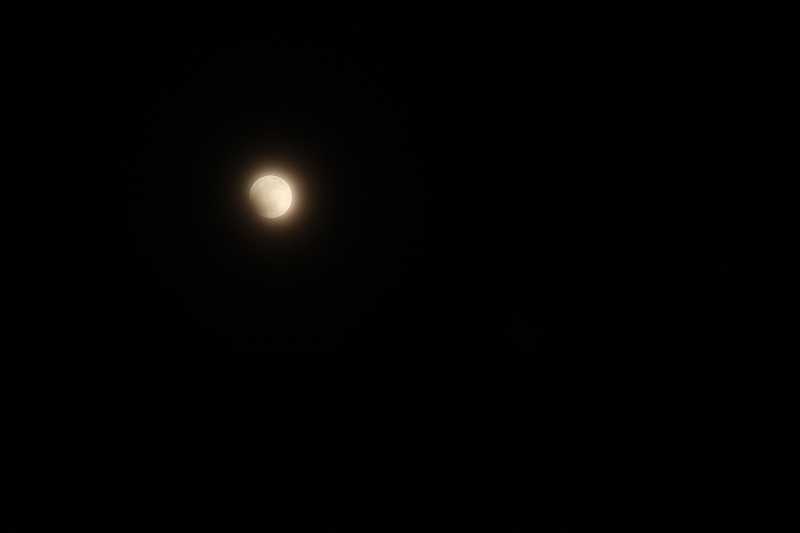 140414-215655.JPG