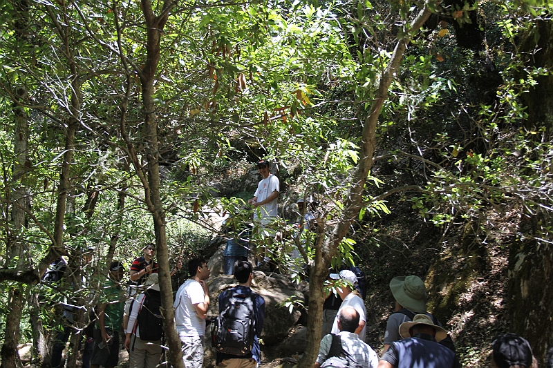 140610-114747.JPG