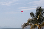IMG_6660