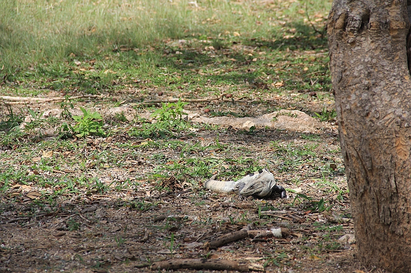 IMG_8150.jpg