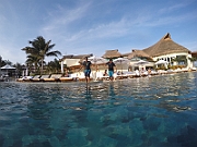 G0030390