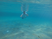G0080569