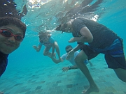 GOPR0295